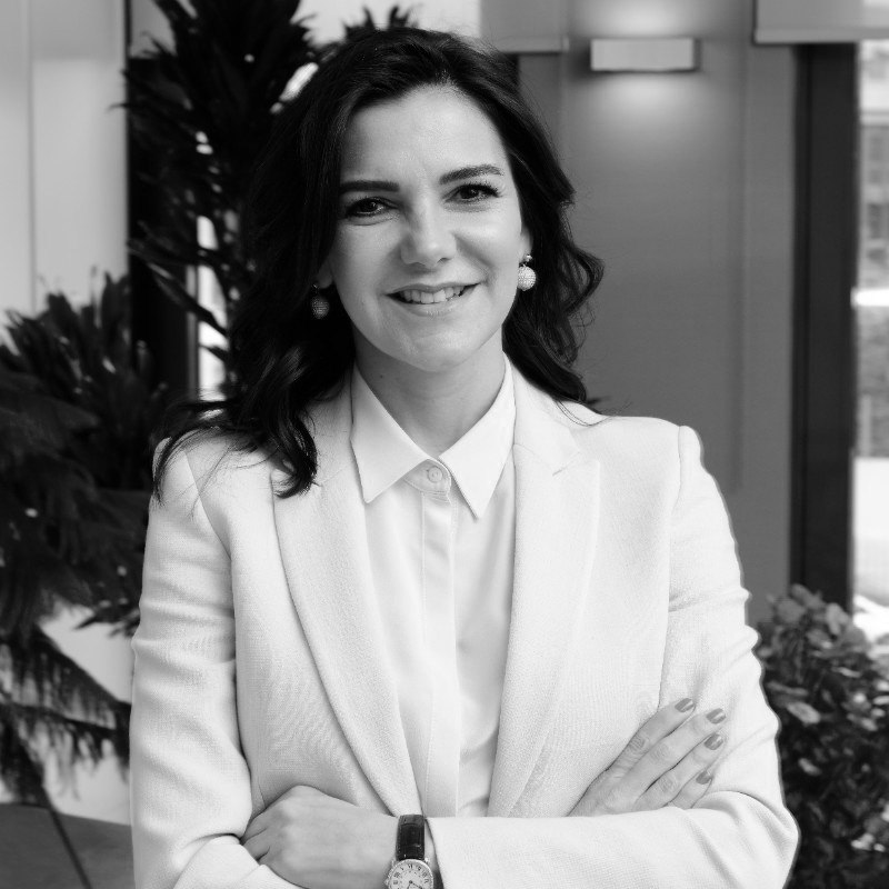 Y. Begüm Doğan Faralyalı