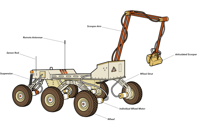 Rover Rover Kiti