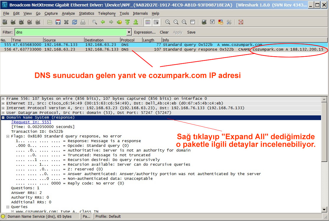 Wireshark DNS sunucu